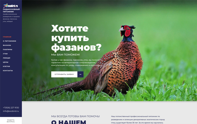 Продажа экзотических птиц